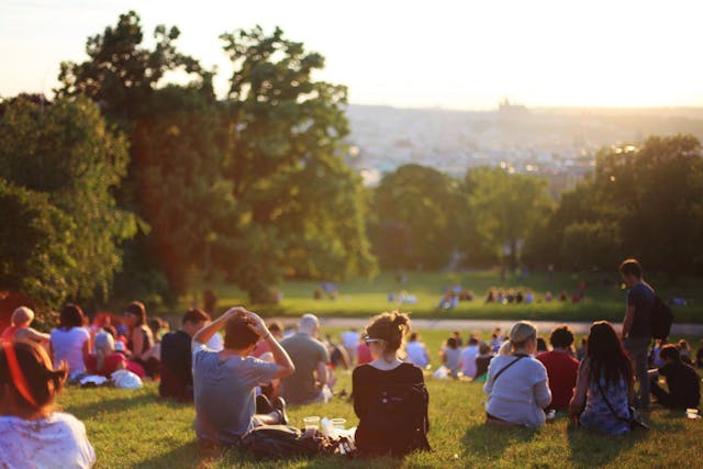 people sitting in park