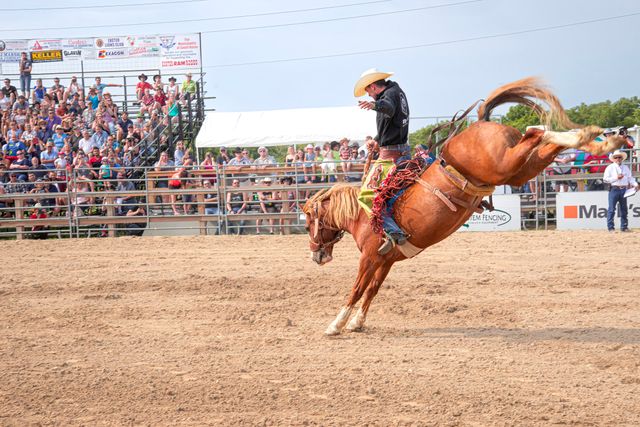 rodeo scene with a cowboy on a bucking horse